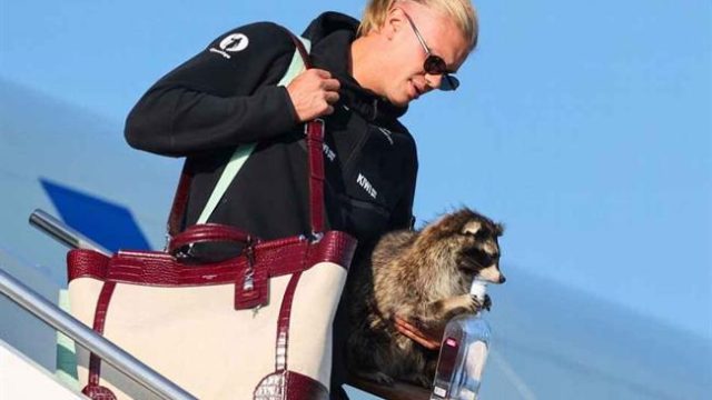 Giấc mơ của Haaland tại La Liga